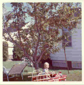Ray with fire truck under the apple tree, a budding Johnny Appleseed.